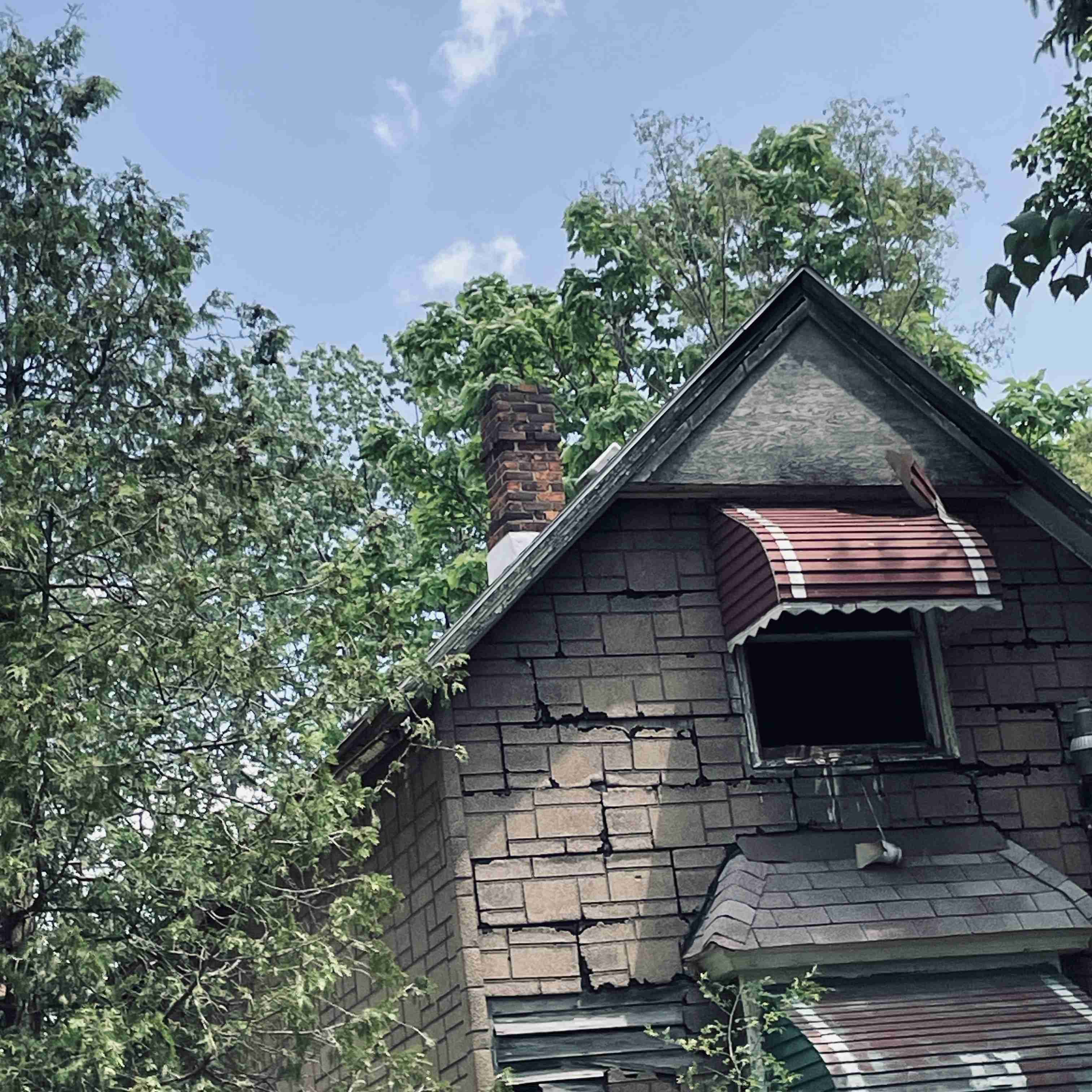 1060 Meldrum (6).jpg